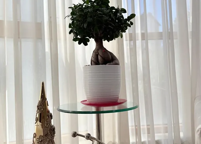 Luxury - Center Appartement Tirana