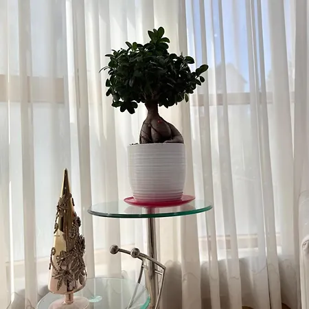 Luxury - Center Apartment Tirana